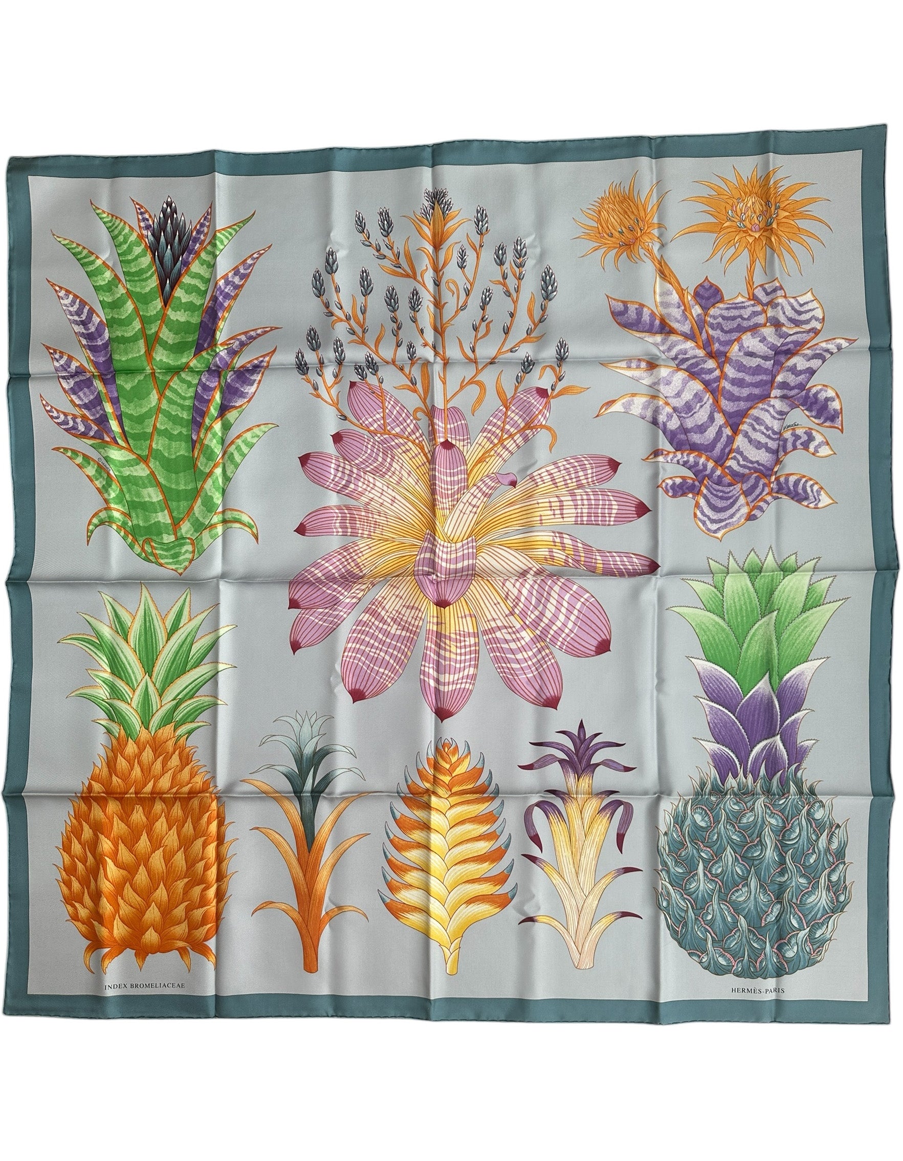 8HermesNEWIndexBromeliaceaeble 8HermesNEWIndexBromeliaceaeble