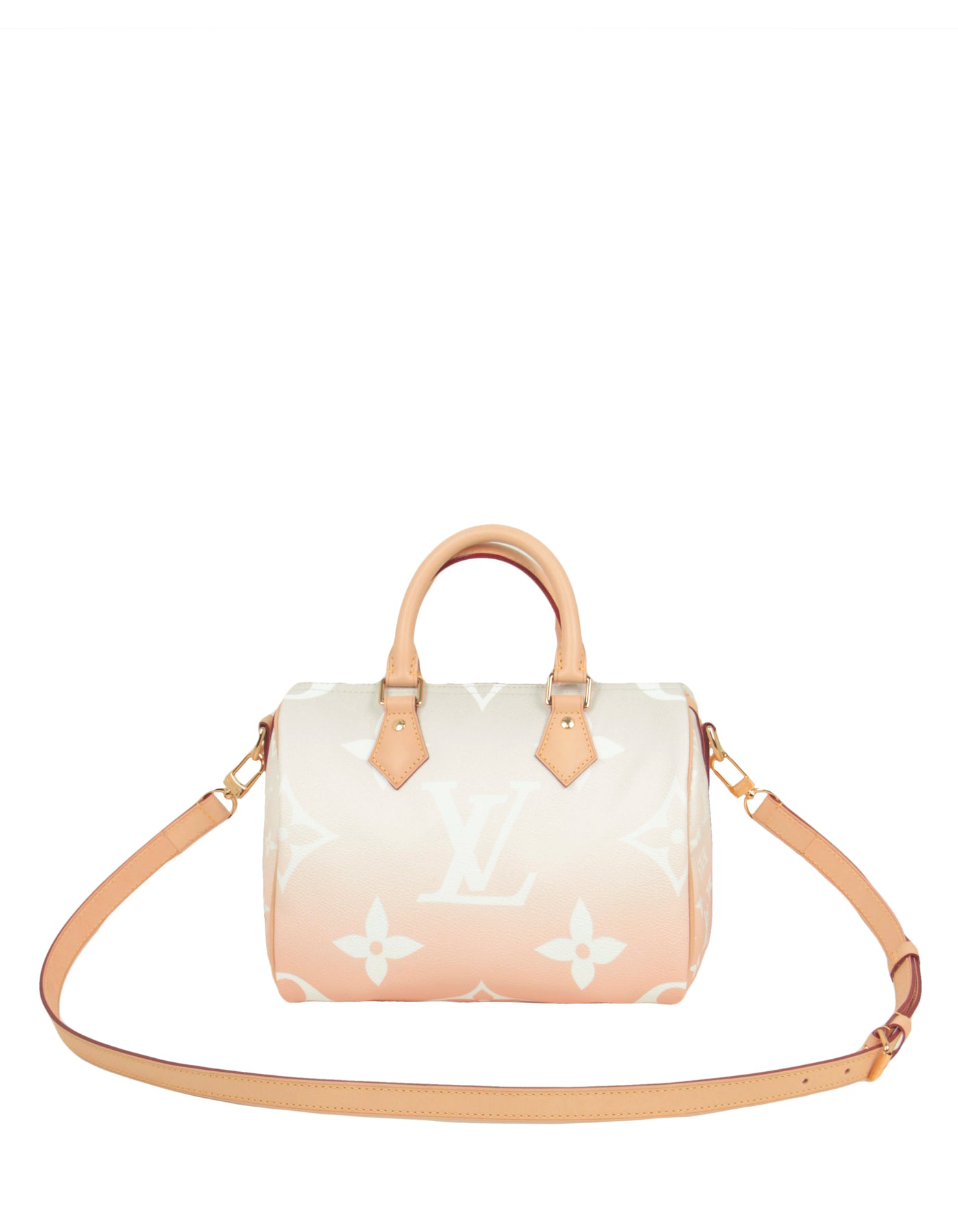 Louis Vuitton Limited Edition Summer by the Pool Speedy Bandoulière 25 in  Brume Giant Monogram - SOLD