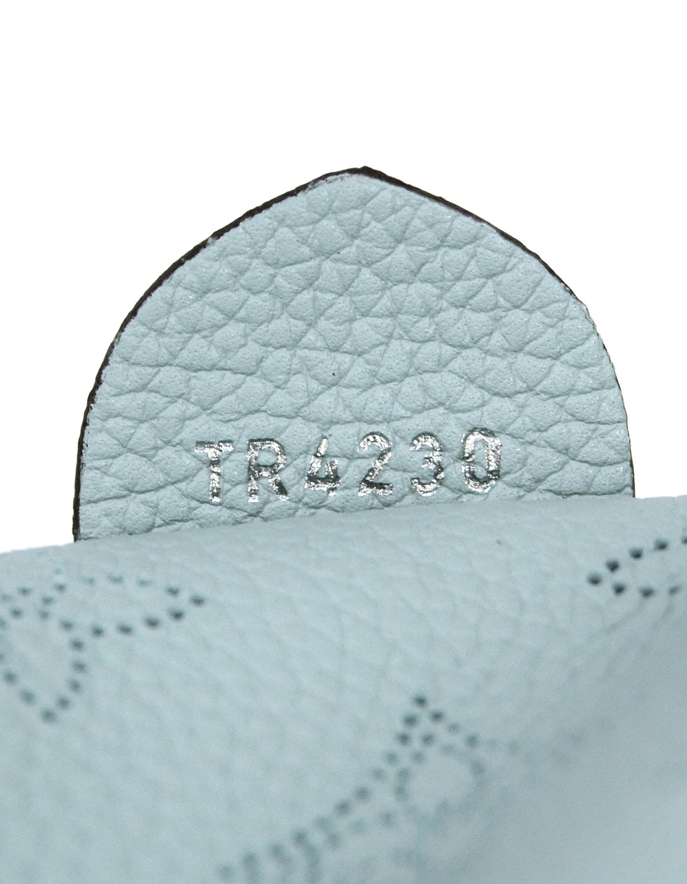 Louis Vuitton Vert Lagon Mahina Scala Mini Pouch Crossbody Bag – ASC Resale