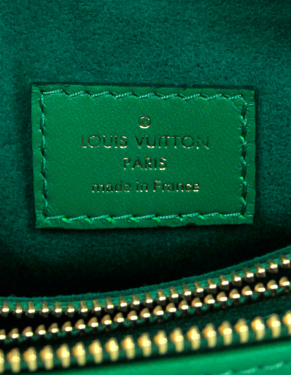 Louis Vuitton Lambskin Embossed Monogram Coussin Bb Emeraude
